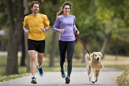 Deux joggeurs, un homme et une femme, ainsi qu’un golden retriever qui courent sur un sentier asphalté